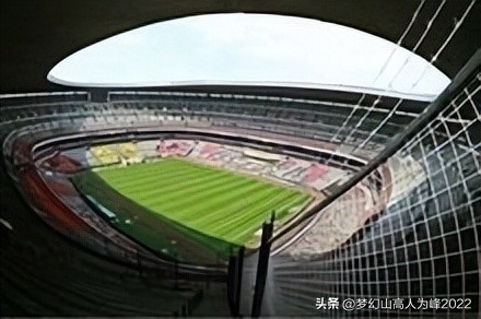 专业足球场草皮,专业足球场多大