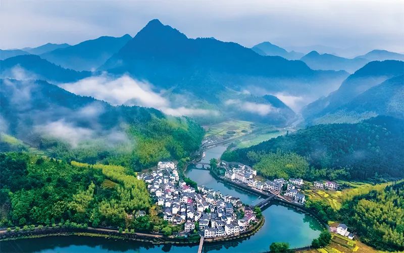 学习贯彻“千万工程”精神,深入践行千万工程