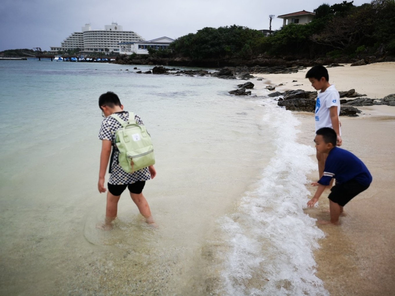 暑期档2019年,2019年暑期档