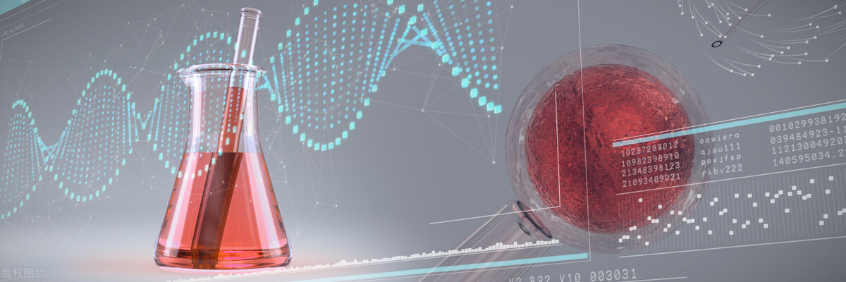 精子进入体内的24小时，都经历了什么？