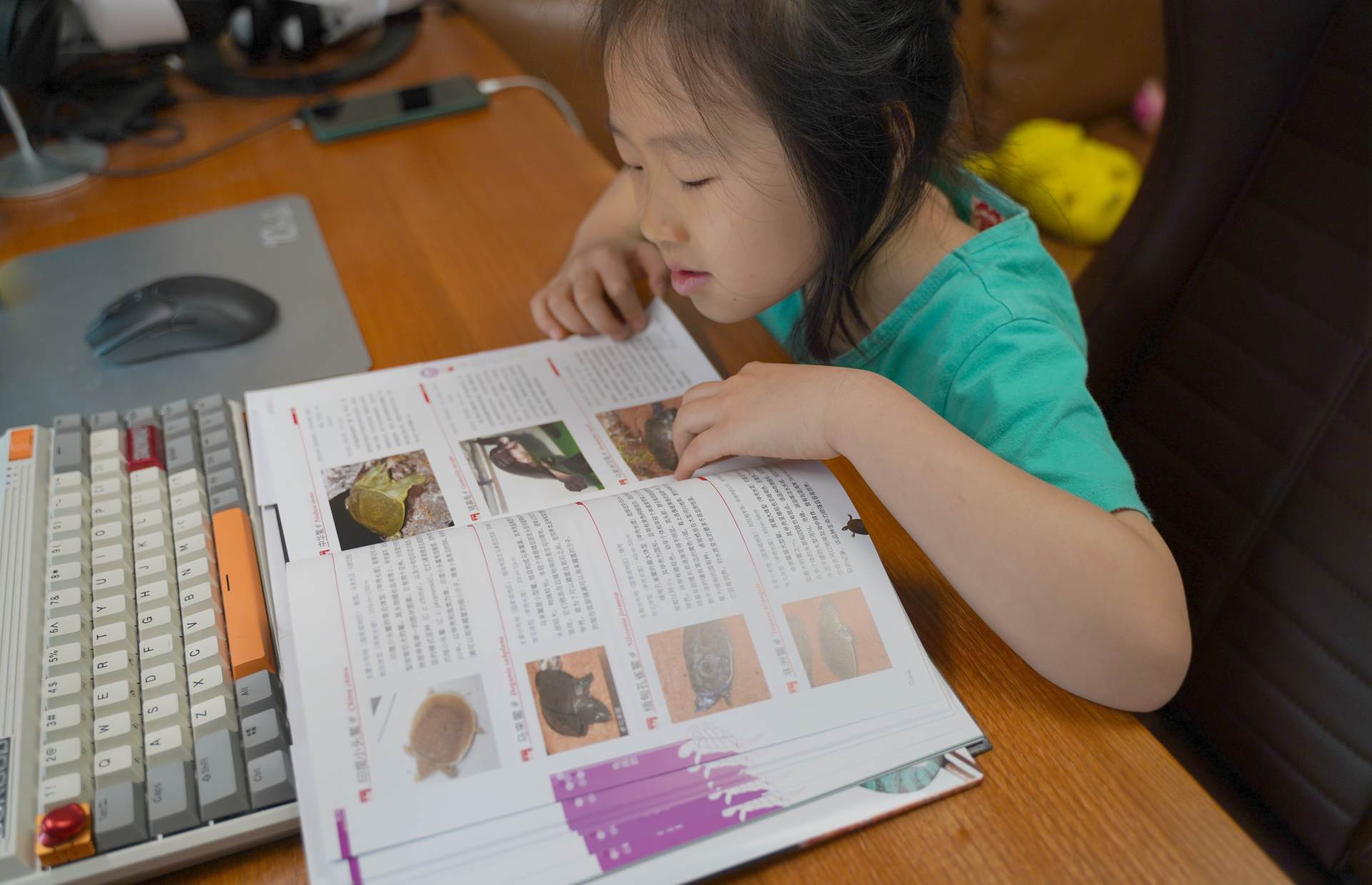 爬行动物世界动物园,世界爬行动物图鉴最新