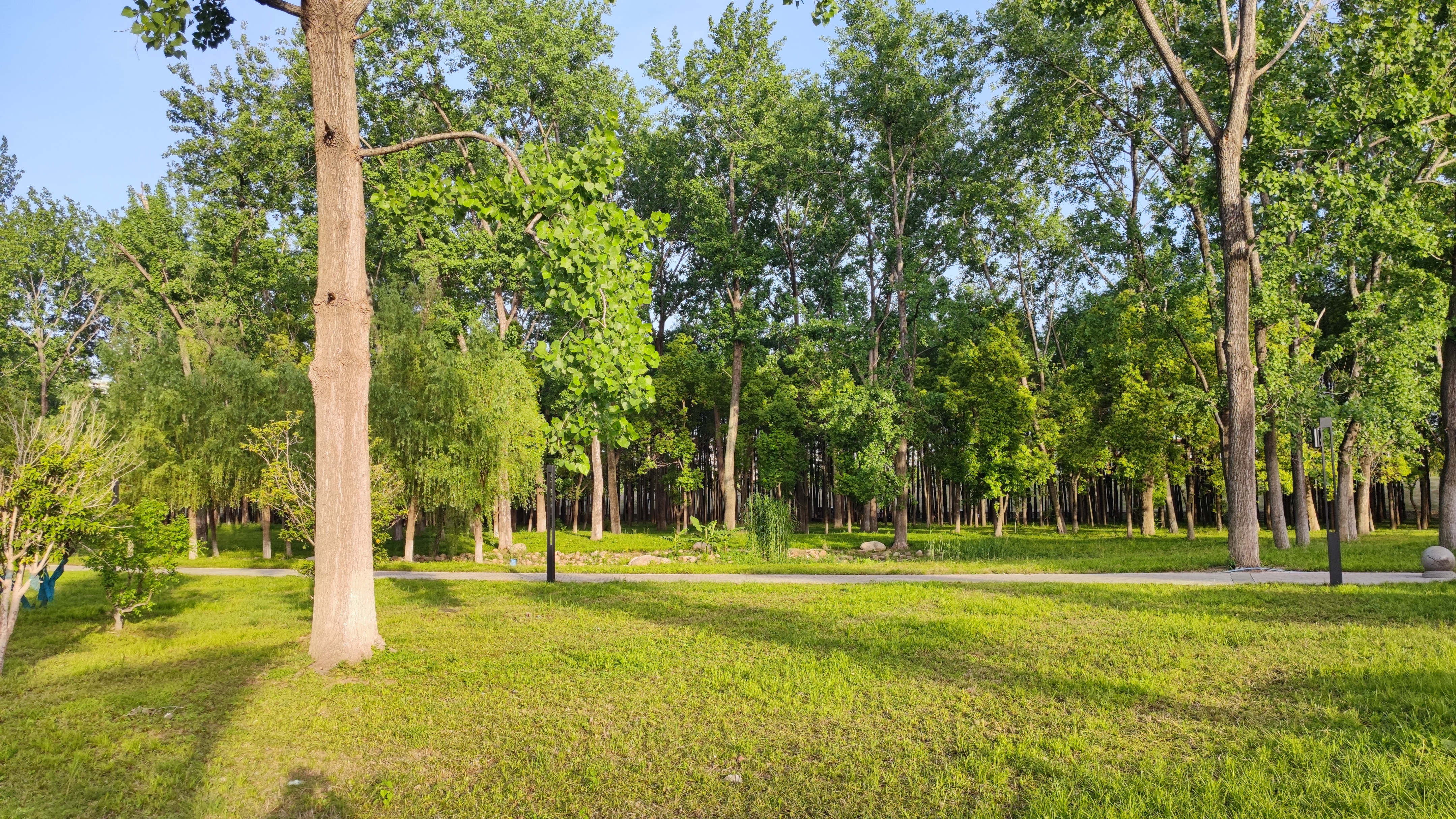 五一武汉江滩旅游人山人海,武汉青山江滩攻略
