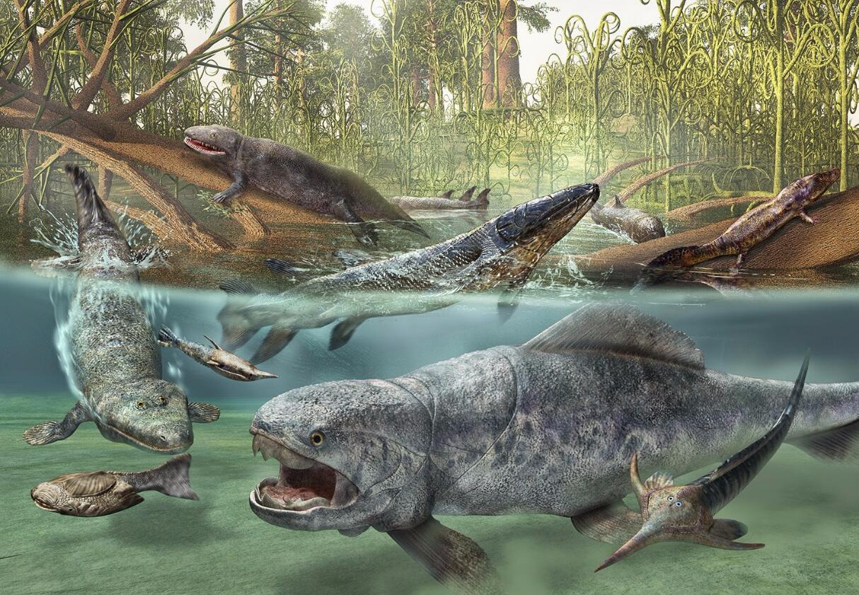 假设世界没有人类会怎么样,假设没有太阳和月亮地球会怎么样