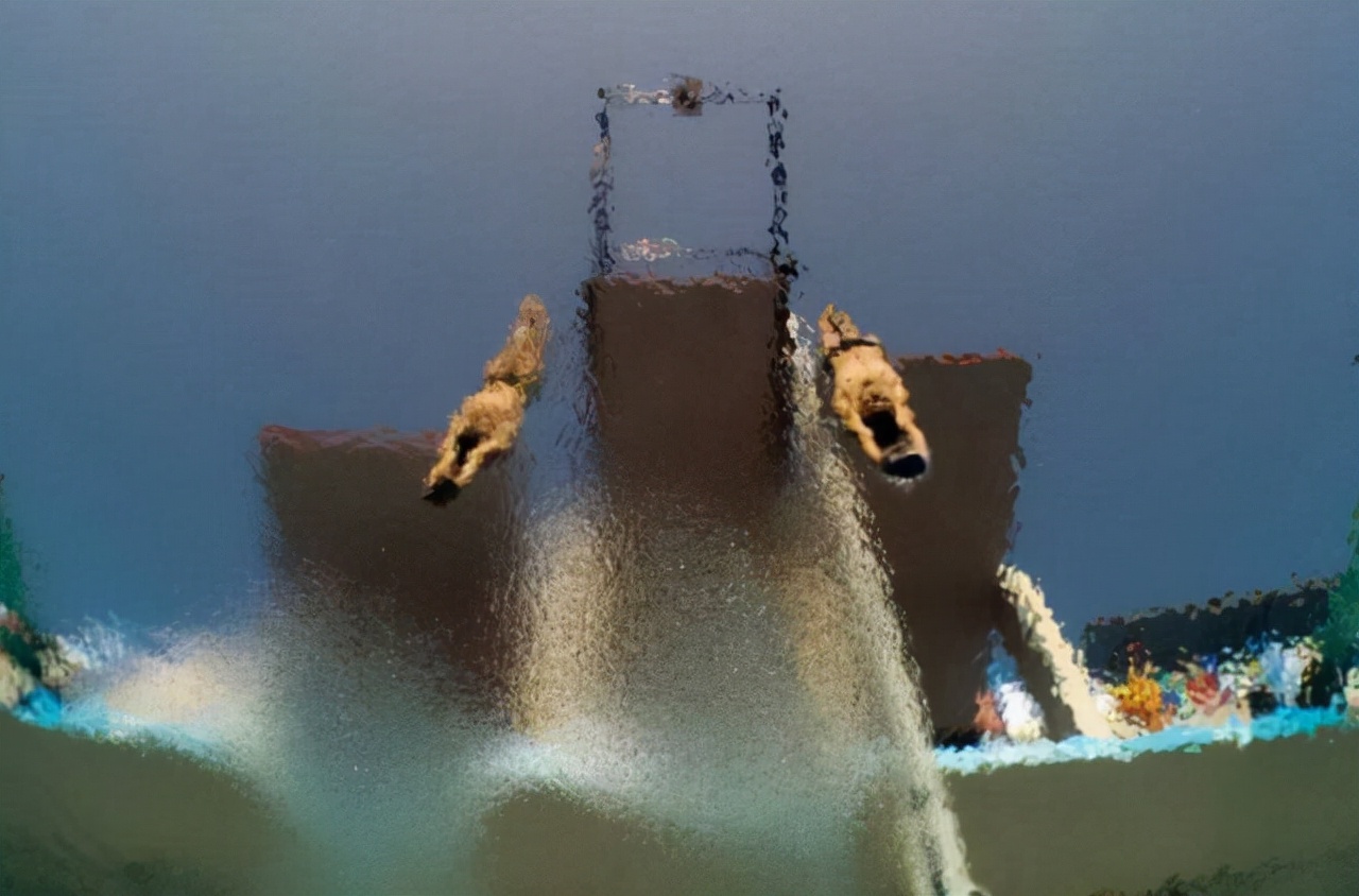 第一个用无人机拍到的鲸鱼,鲸鱼萤火虫