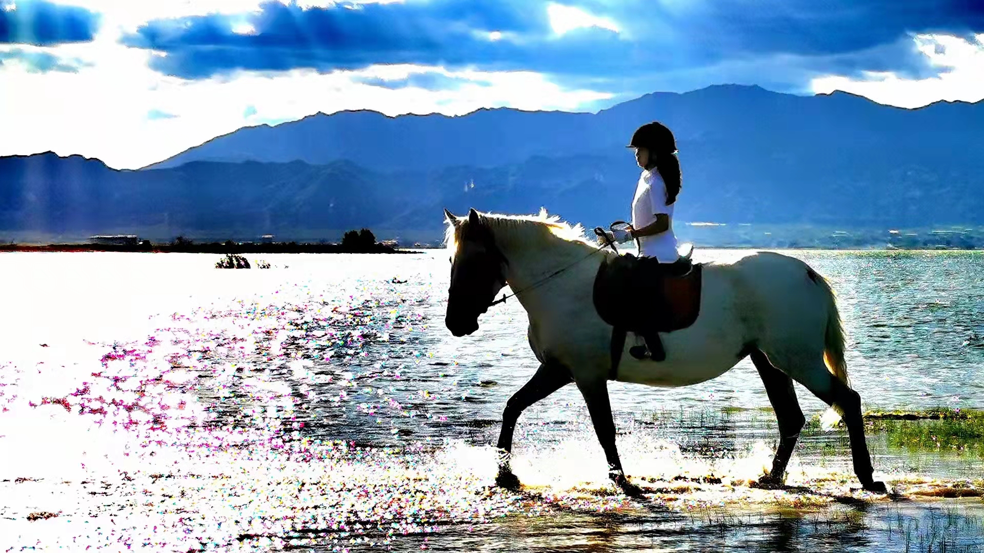 2023华杯赛夏令营,华誉外交官