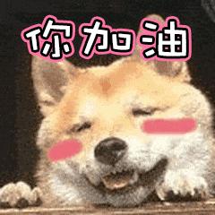 四七烟算贵的吗,四七九要考多少分