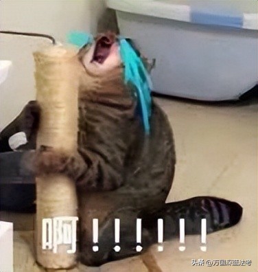 刷1000题要记答案就行吗,刷题10000道