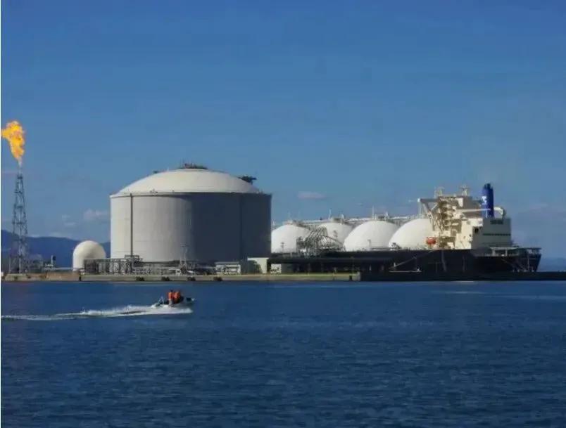 世界杯卡塔尔队,卡塔尔世界杯卡塔尔队