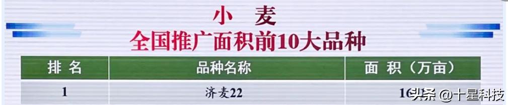 让农民的粮食能卖上好价钱,让农民的农产品卖出去