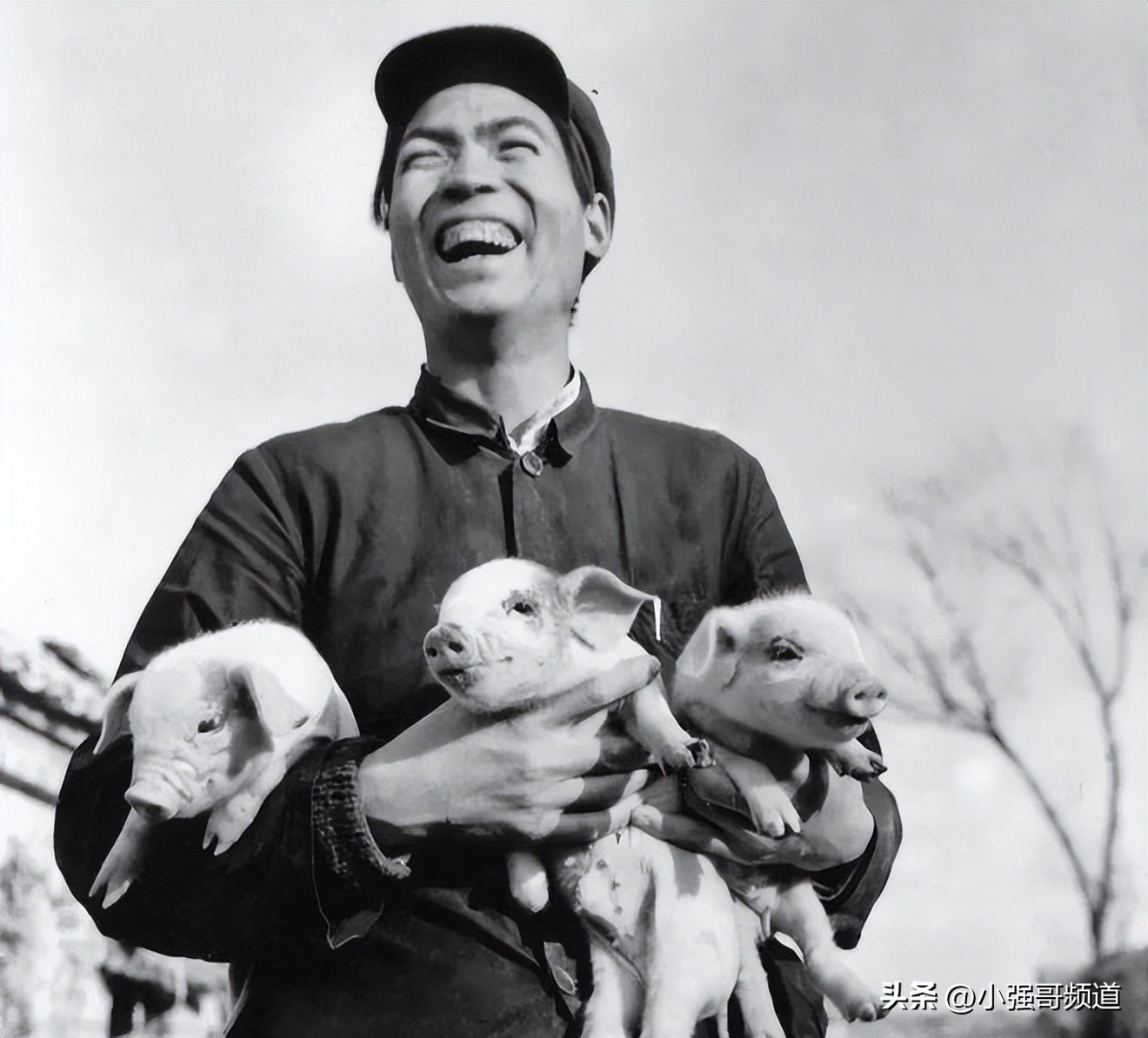 黄元申的成名经历,中国第一万元户黄新文