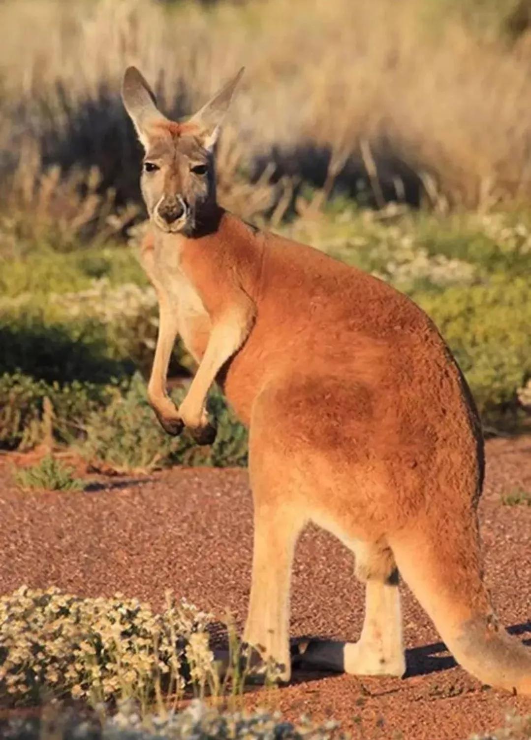 100个大自然奇观图片,世界50大自然奇观排名