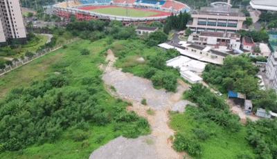 湛江市区新貌,湛江社区公园