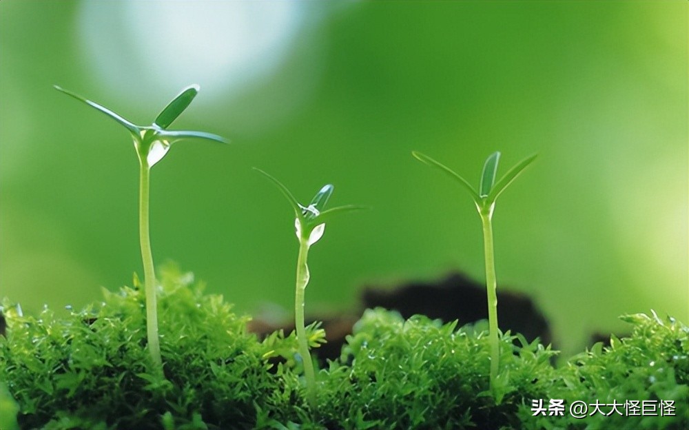 13岁女孩被班主任性侵后，因一本侦探小说，找到“自救”之路