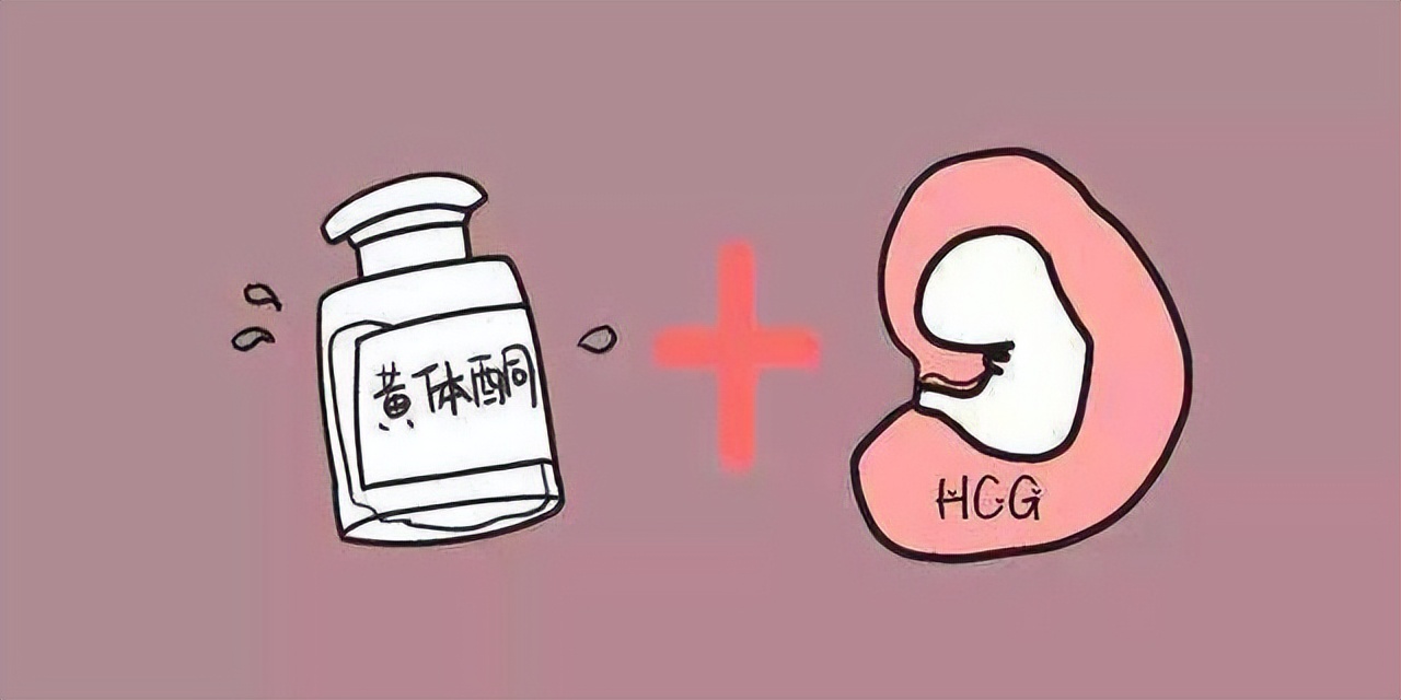 女性黄体酮不足吃什么食物能补充,女性黄体酮不足有哪些症状