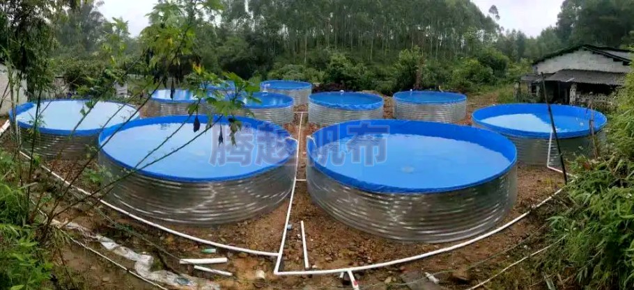 泥鳅养殖方法最简单,关于泥鳅的养殖方法