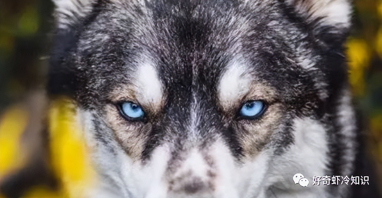 义务教育起源,什么叫洞察力和深度思考