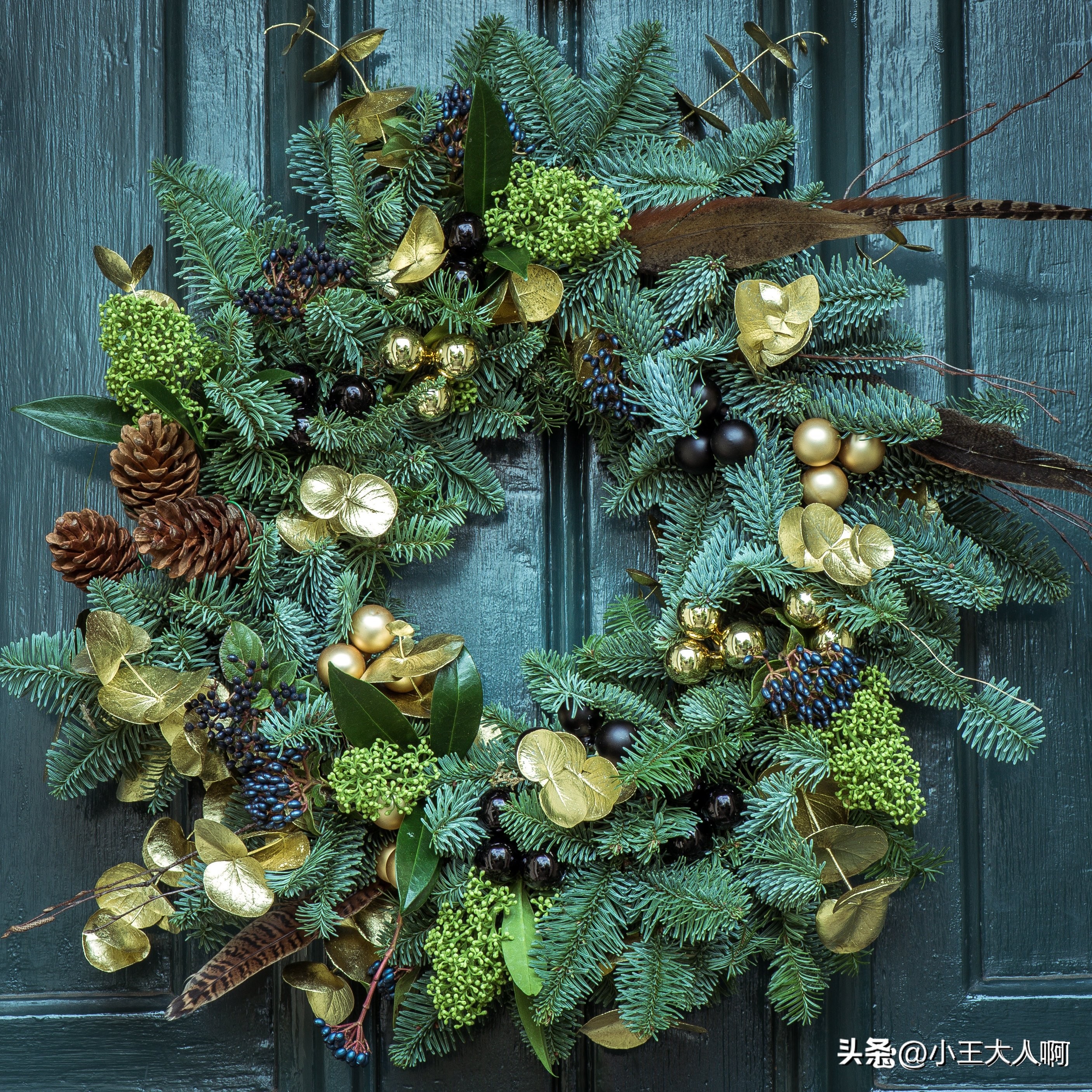 松树死亡为什么不能做柴头,烂松树可以当柴烧吗