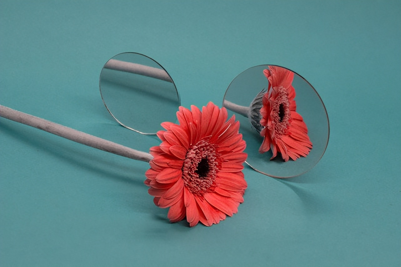 怎样成为一个温柔的人,成为一个温柔的人作文