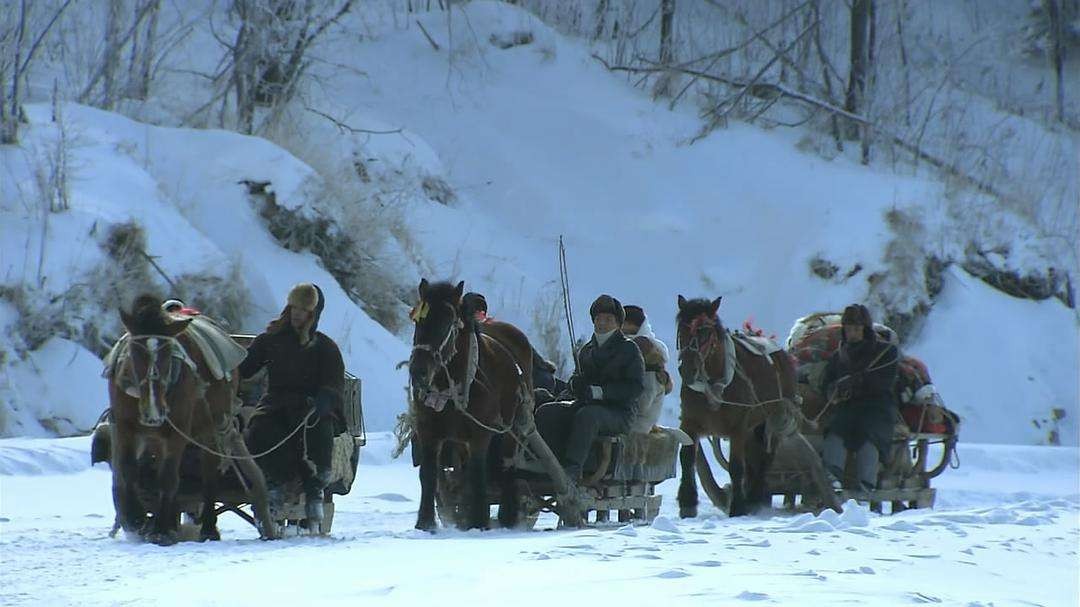 东北的大早市有多好逛,没逛过东北早市的东北人