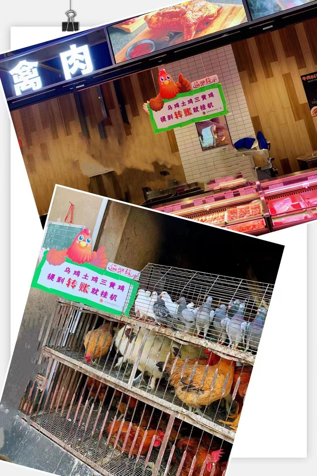 定西市最新标语,定西市三抓三促宣传标语