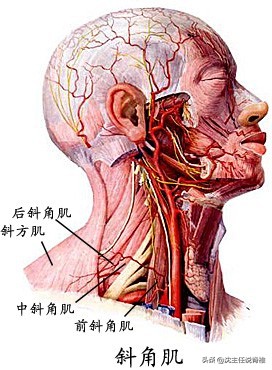 左侧后背肩胛骨内侧缘隐痛,后背肩胛骨部位痛是有炎症吗