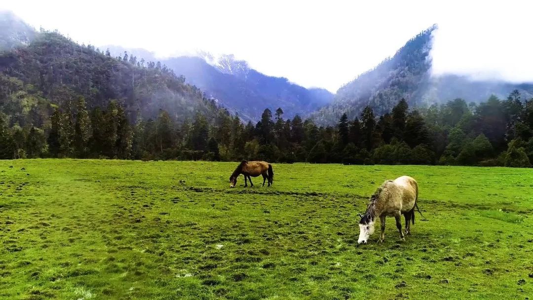 走甘孜,理塘甘孜县