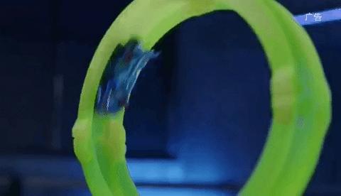 一家玩具店,一家玩具店的玩具有多好玩儿