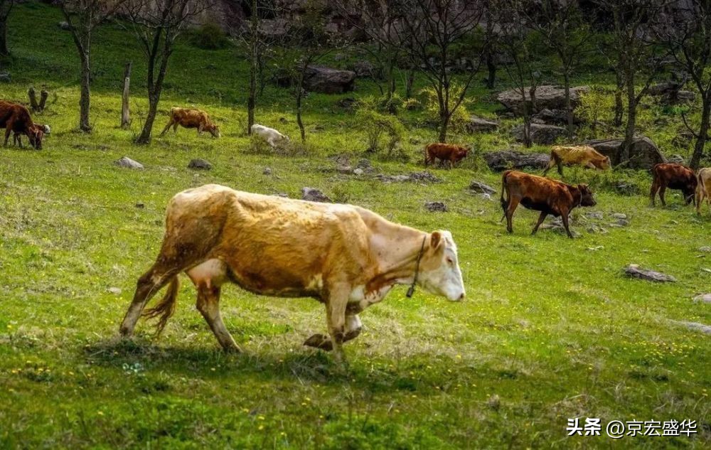 晋城的九重天阙