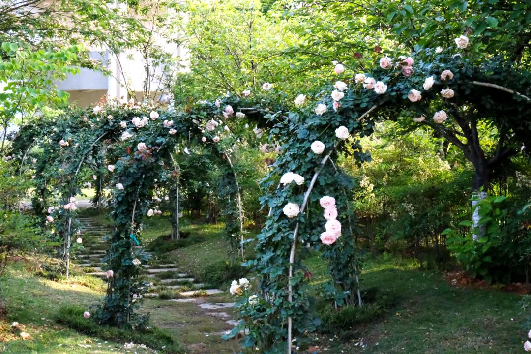 为什么华夏理工学院学费这么贵,为什么选择帝国理工