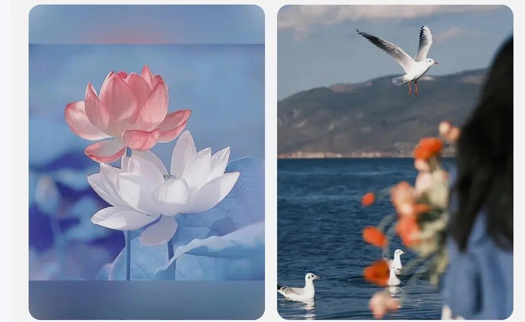 微信封号规则及解决办法,微信封号规则及解决方法