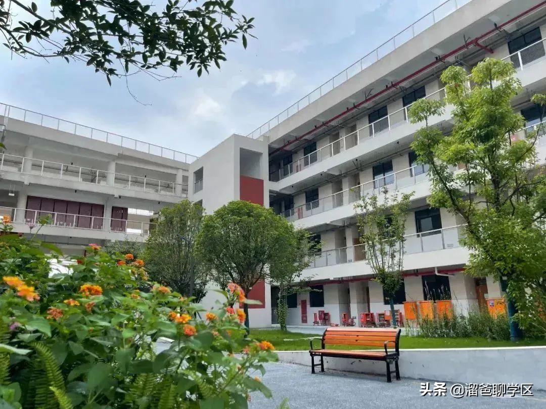 青羊树德实验弘毅校区,树德实验中学弘毅校区怎样