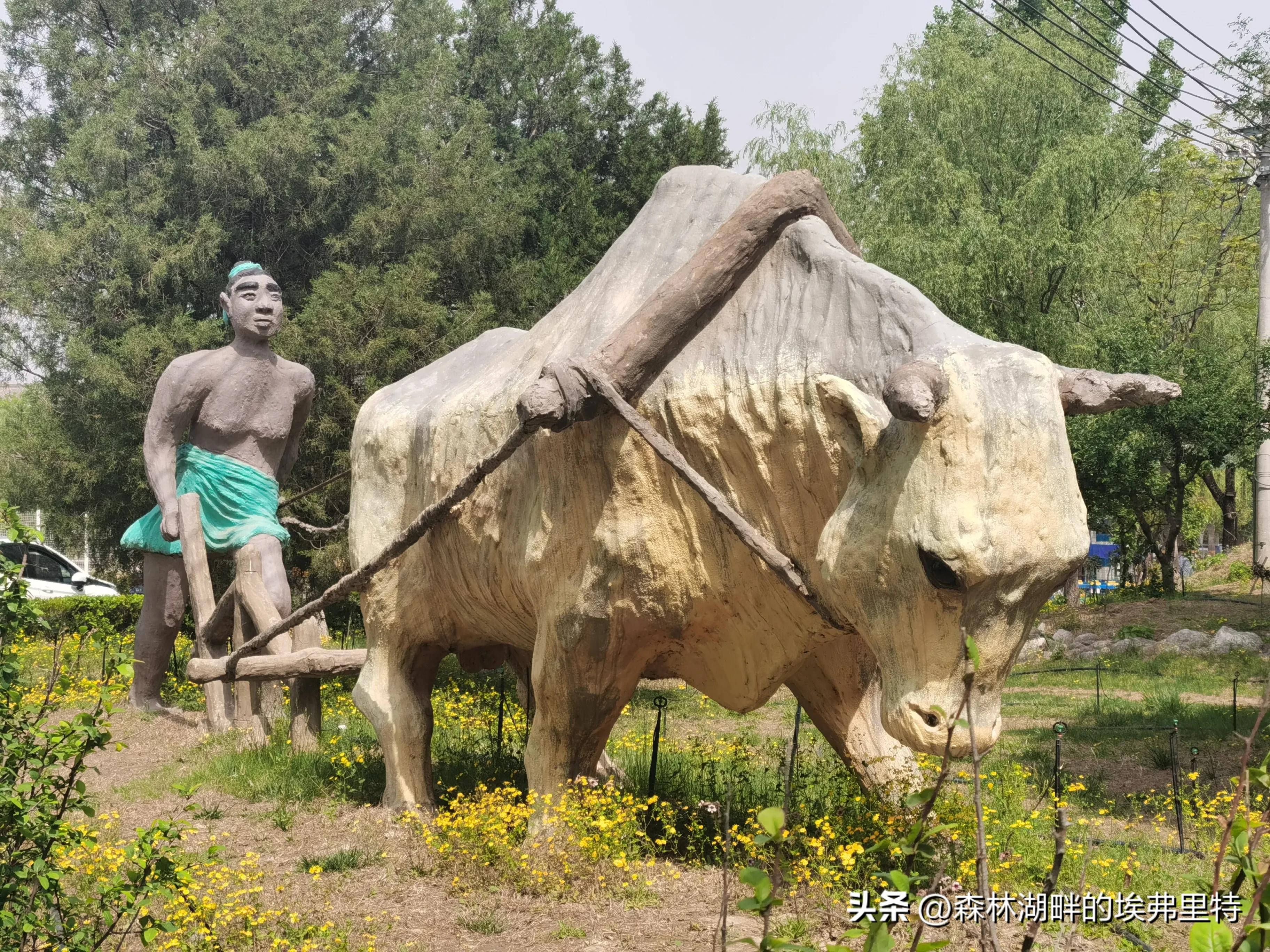 蟹岛度假村火灾,蟹岛度假村视频