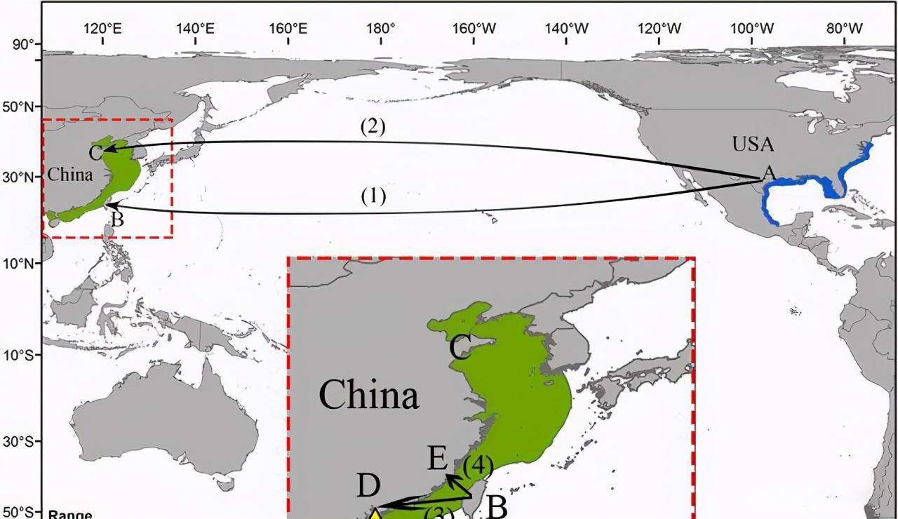 在中国被吃到灭绝的物种,被美国吃绝种的野生动物