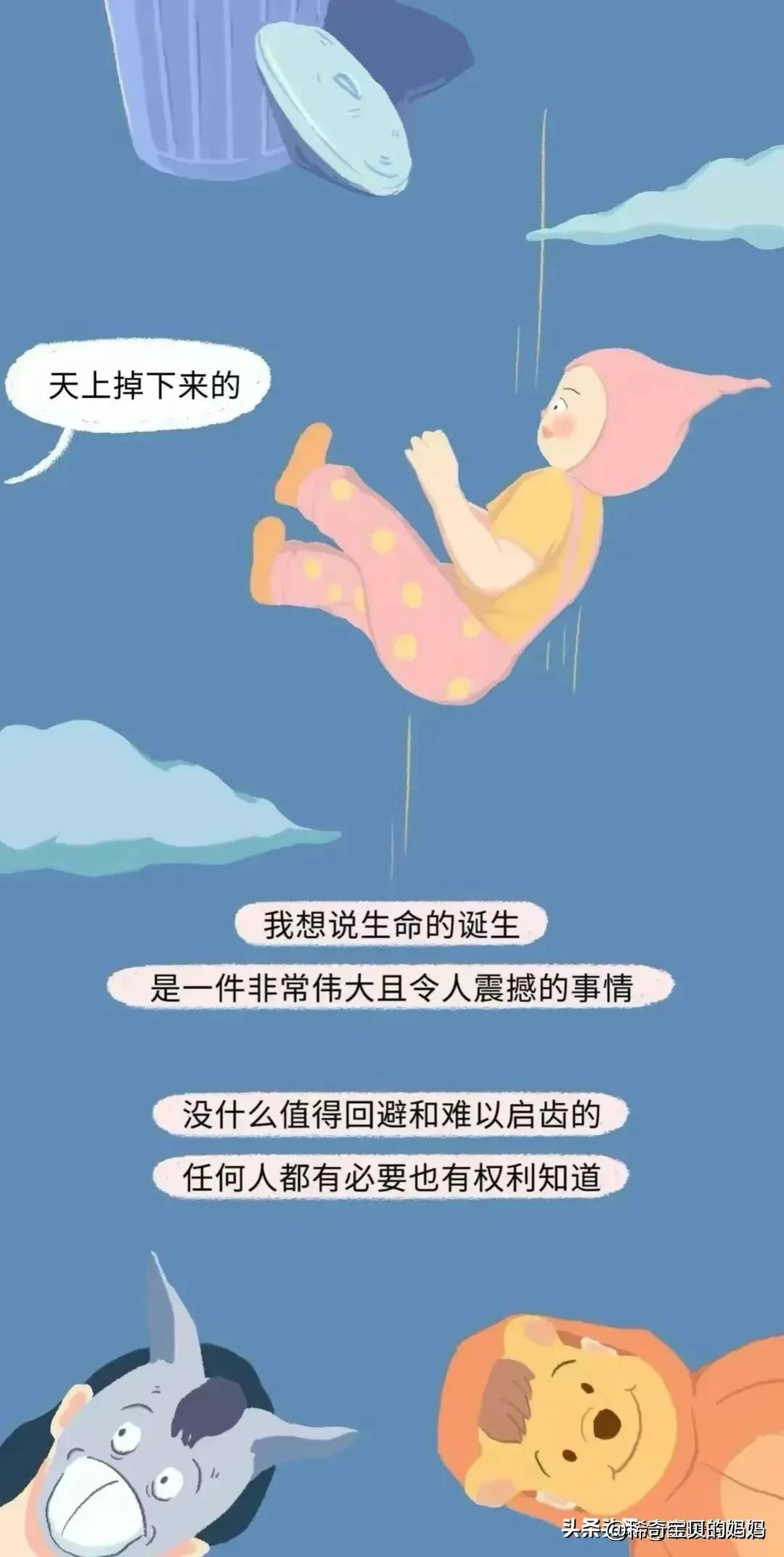 小蝌蚪动画过程讲解,小蝌蚪到青蛙生长过程动漫