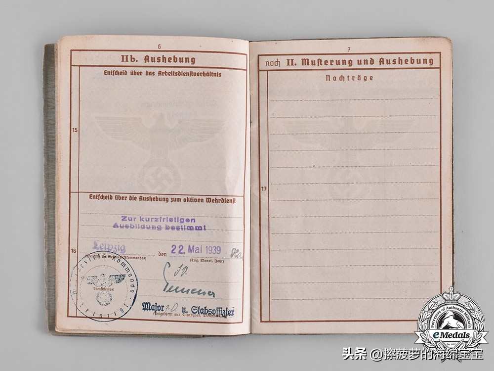 二战时德国军人的肩章,二战德国兵种领章