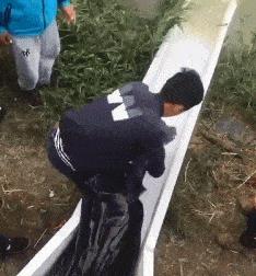 突然冒出一片气泡,突然冒了小小的水泡泡