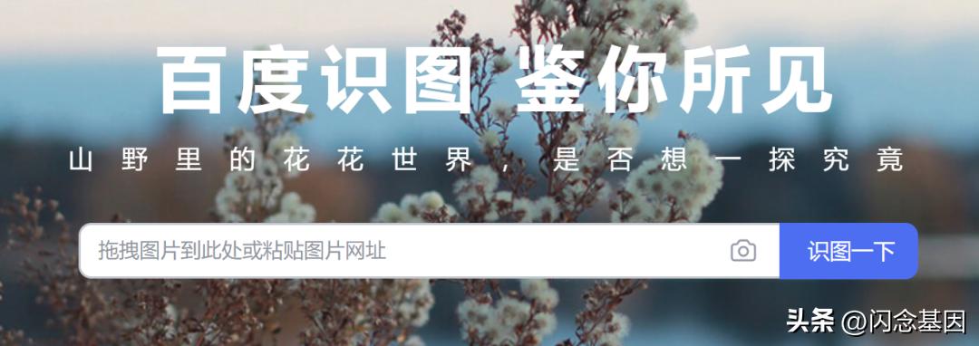 elasticsearch创建知识图谱,elasticsearch8教程