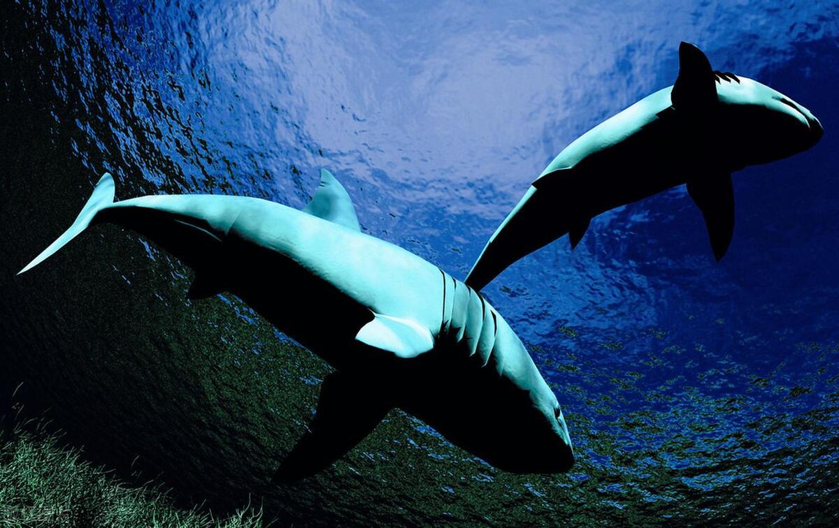 徐州哪里治疗焦虑症,徐州社交恐惧症治疗