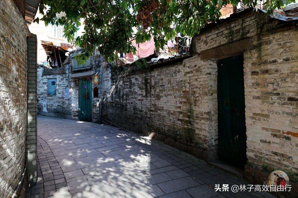 福州有哪些特色玩的,福州市区游玩攻略