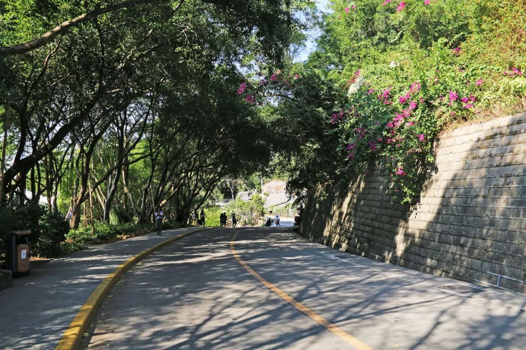 厦门旅游攻略亲子五天四晚冬季游,厦门晚上亲子旅游