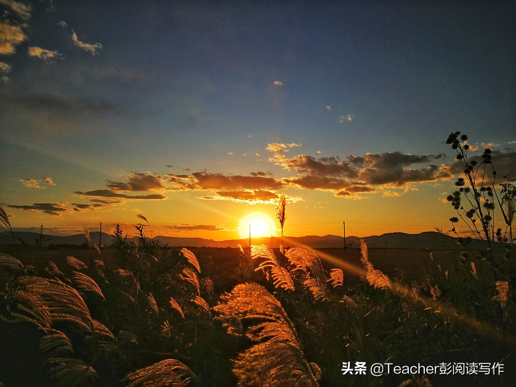 六下第三单元习作让真情流露范文,六年级下册写作文让真情自然流露