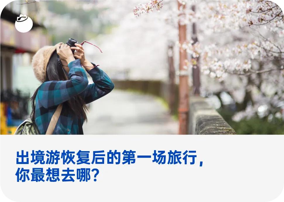 免签落地签的国家一览表,免签落地签国家旅行