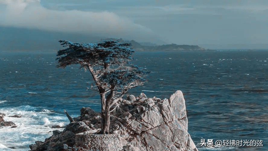 中国史上最美36首诗词,中国最美诗词十首