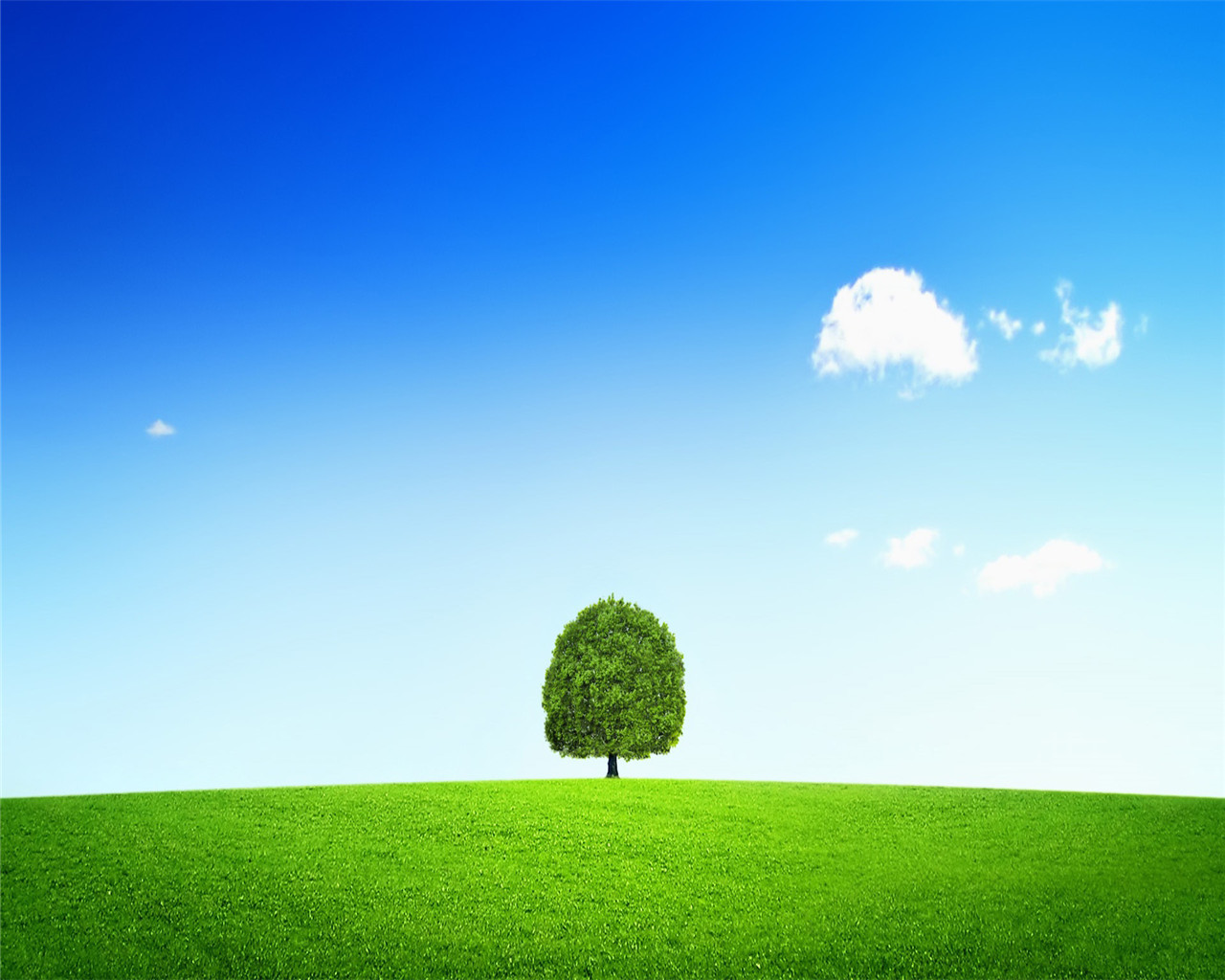 50张顶级绿色绝美壁纸,100张惊艳全屏壁纸风景