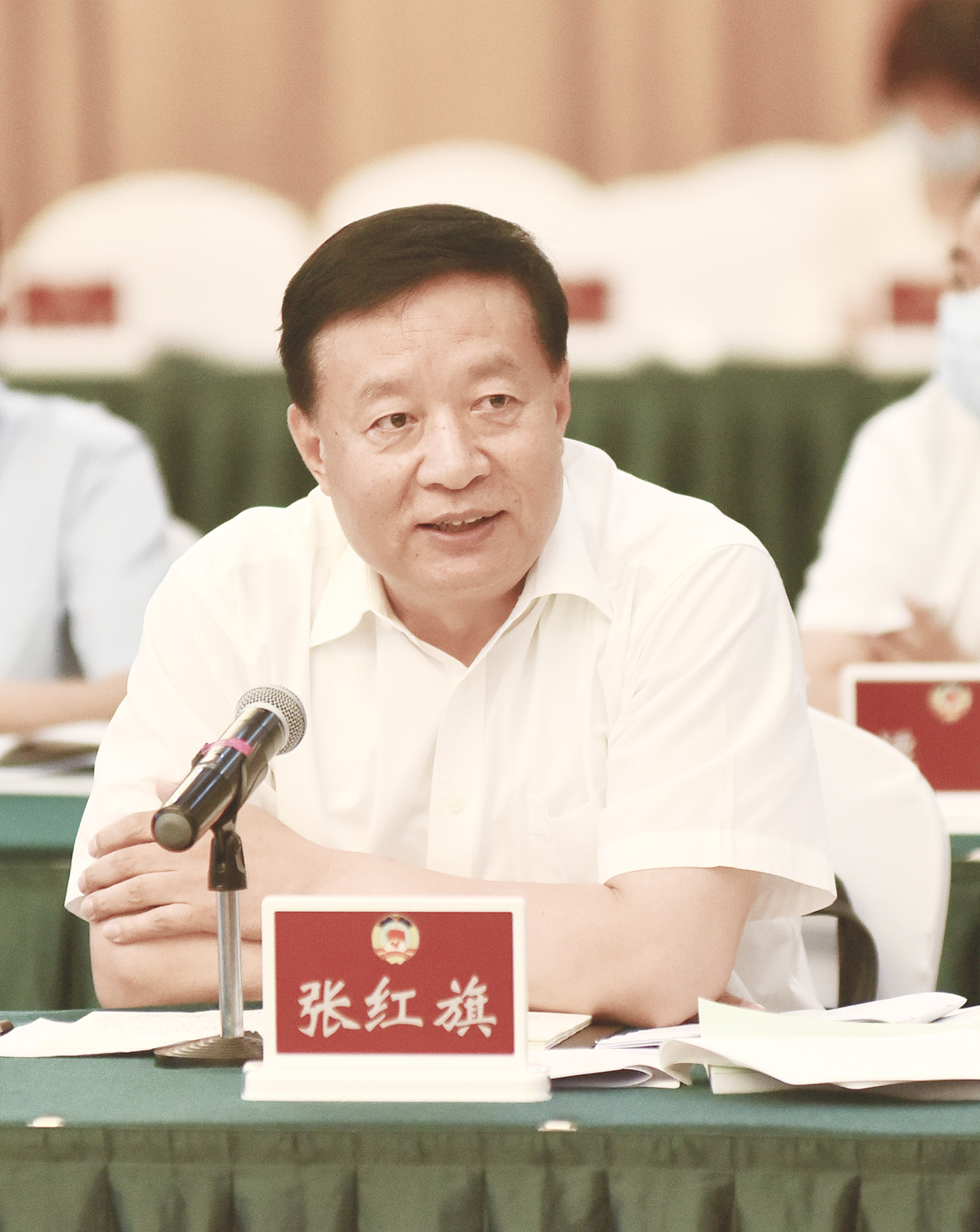 农墨重彩绘新景,农墨重彩绘丰景