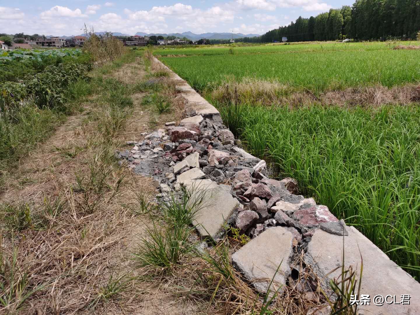 真实最新农村清查时间表,清查农村大动作