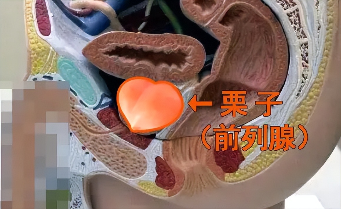 每周两次骑行对男性有影响吗,骑行注意保护膝盖