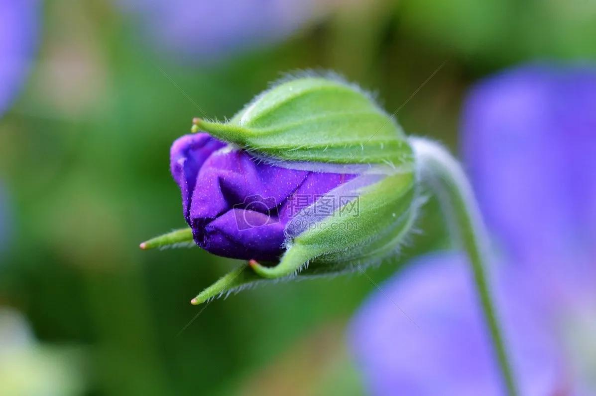 时光荏苒岁月如梭人生如歌,时光荏苒岁月如梭不负韶华