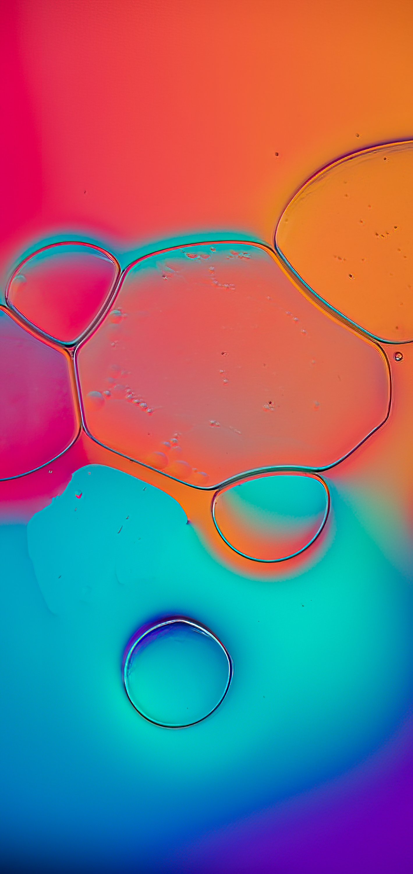 手机壁纸足球可保存,最新最全足球手机壁纸