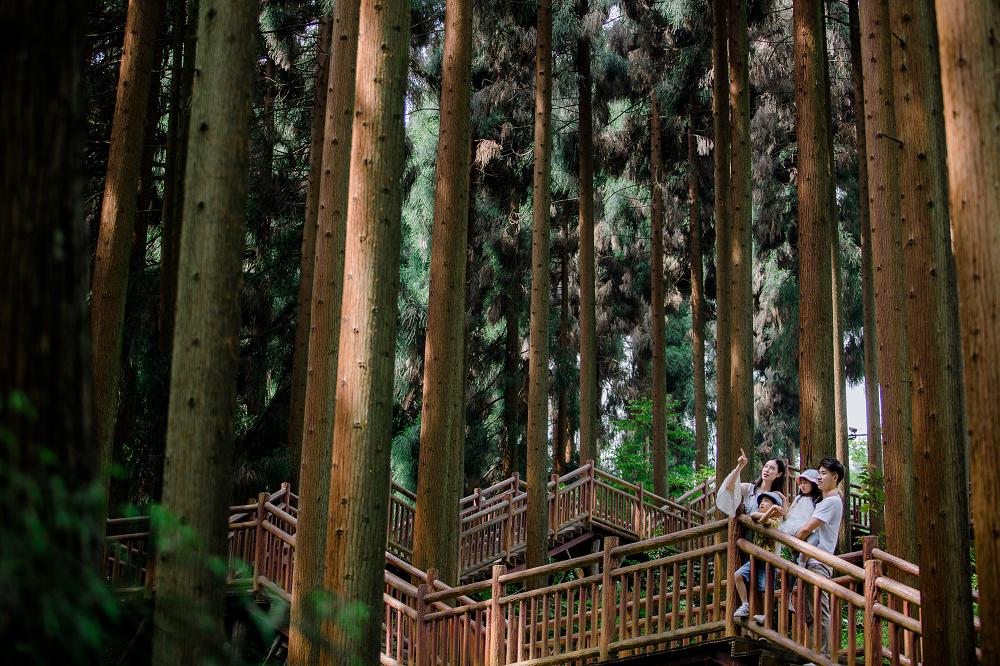 眉山避暑度假康养避寒小镇,眉山七里坪旅游风景区